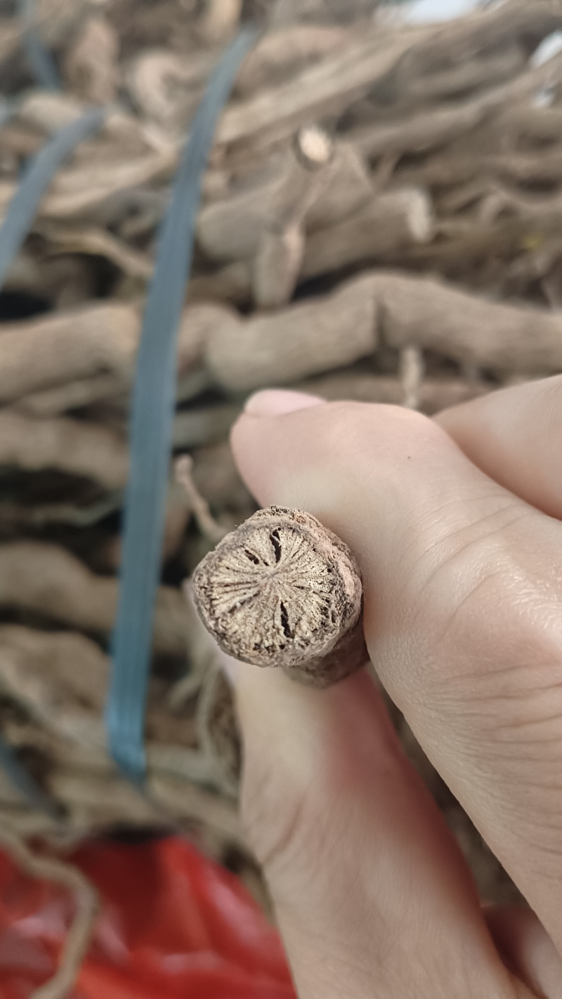 胡椒根（中药材），品质保证，量大价优，欢迎老板来电洽谈