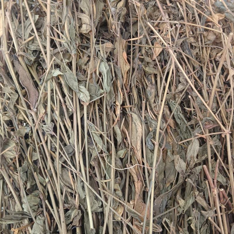 鸡心黄（中草药），质量保证，量大价优，欢迎老板来电洽谈