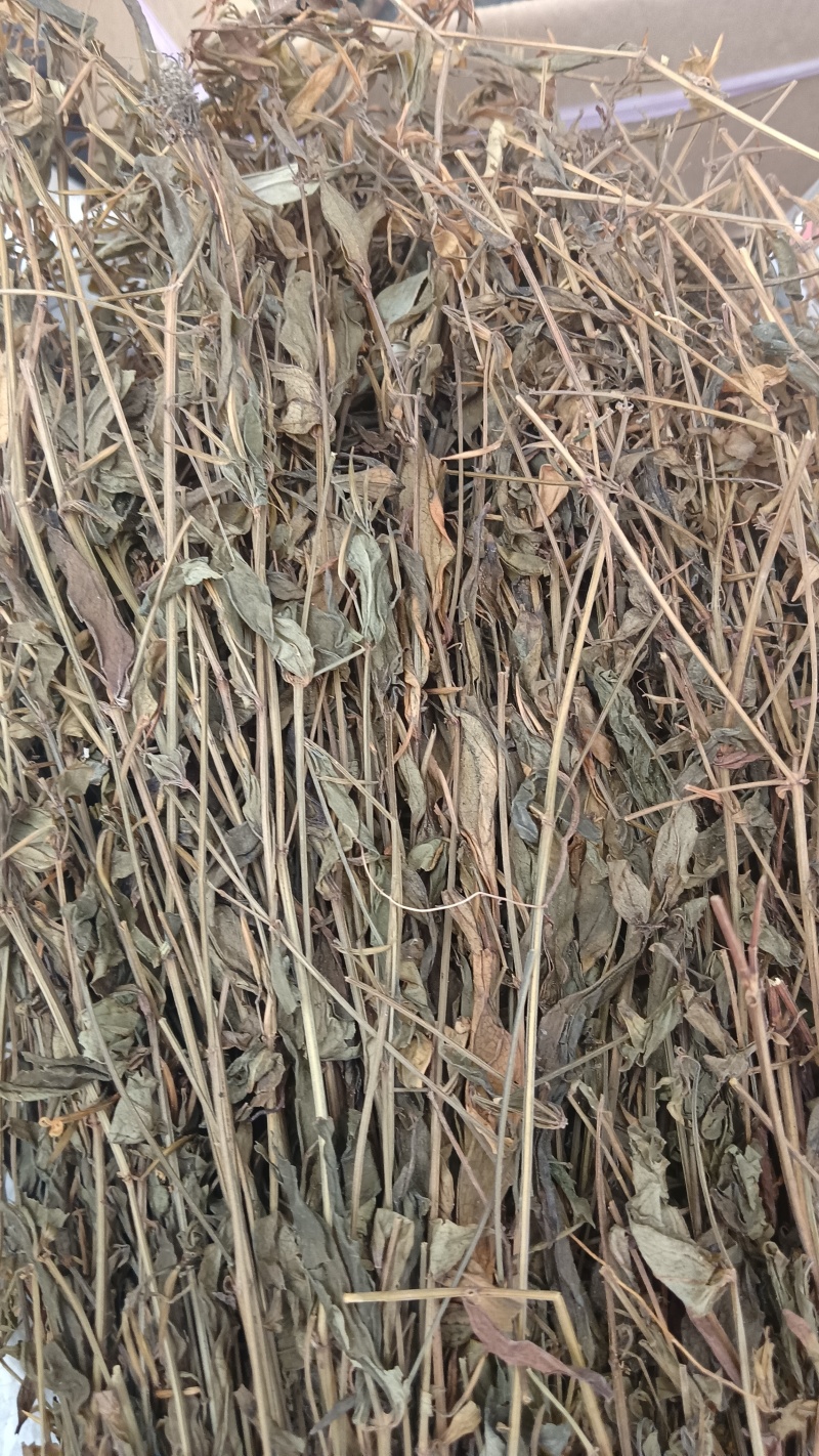 鸡心黄（中草药），质量保证，量大价优，欢迎老板来电洽谈