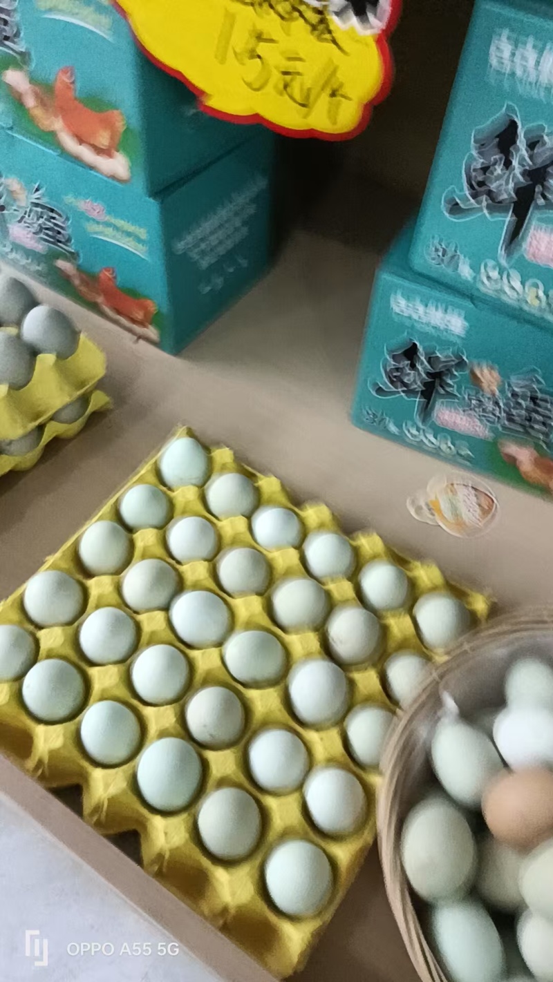 绿壳土鸡蛋一手货源现货现发品质保障欢迎咨询合作