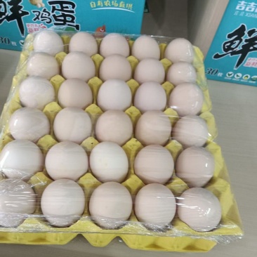 粉壳土鸡蛋养殖场直供稳定供应量大价优欢迎来电洽谈