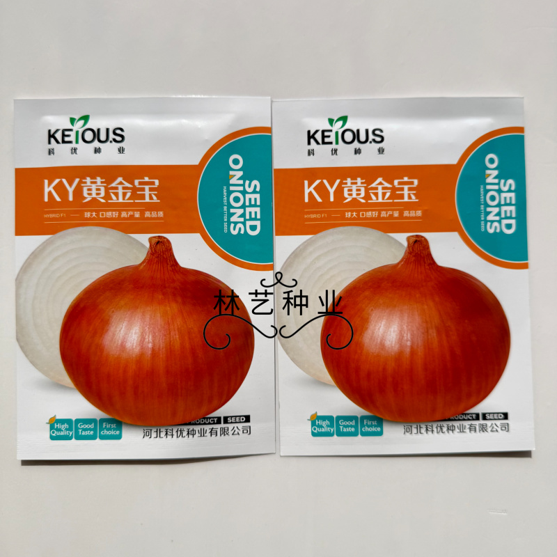 KY黄金宝洋葱种子早熟甘甜微辣品质好商品性佳耐贮存