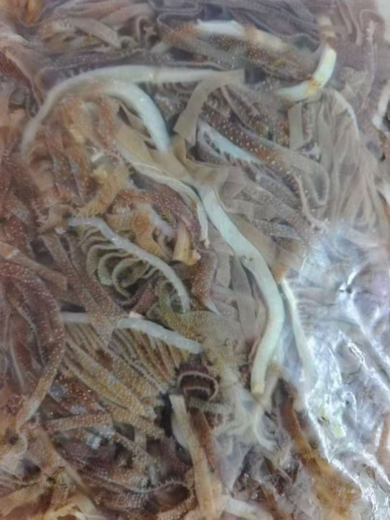毛肚大边角