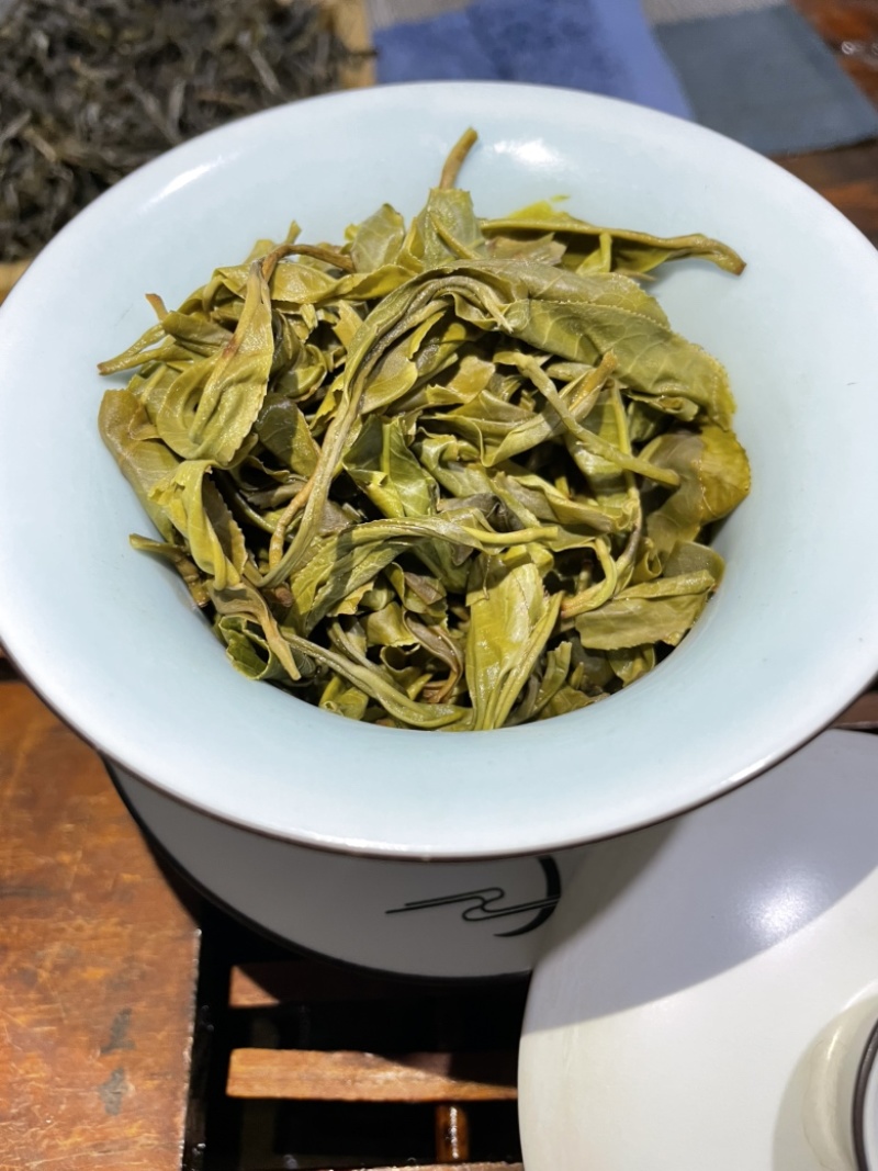 景东哀牢山荒野大树茶鸡嘴壳，普洱茶