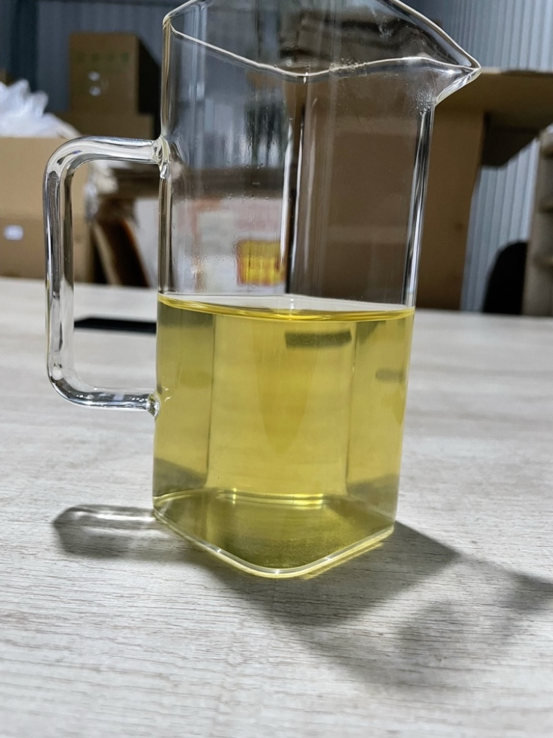 景东哀牢山荒野大树茶鸡嘴壳，普洱茶