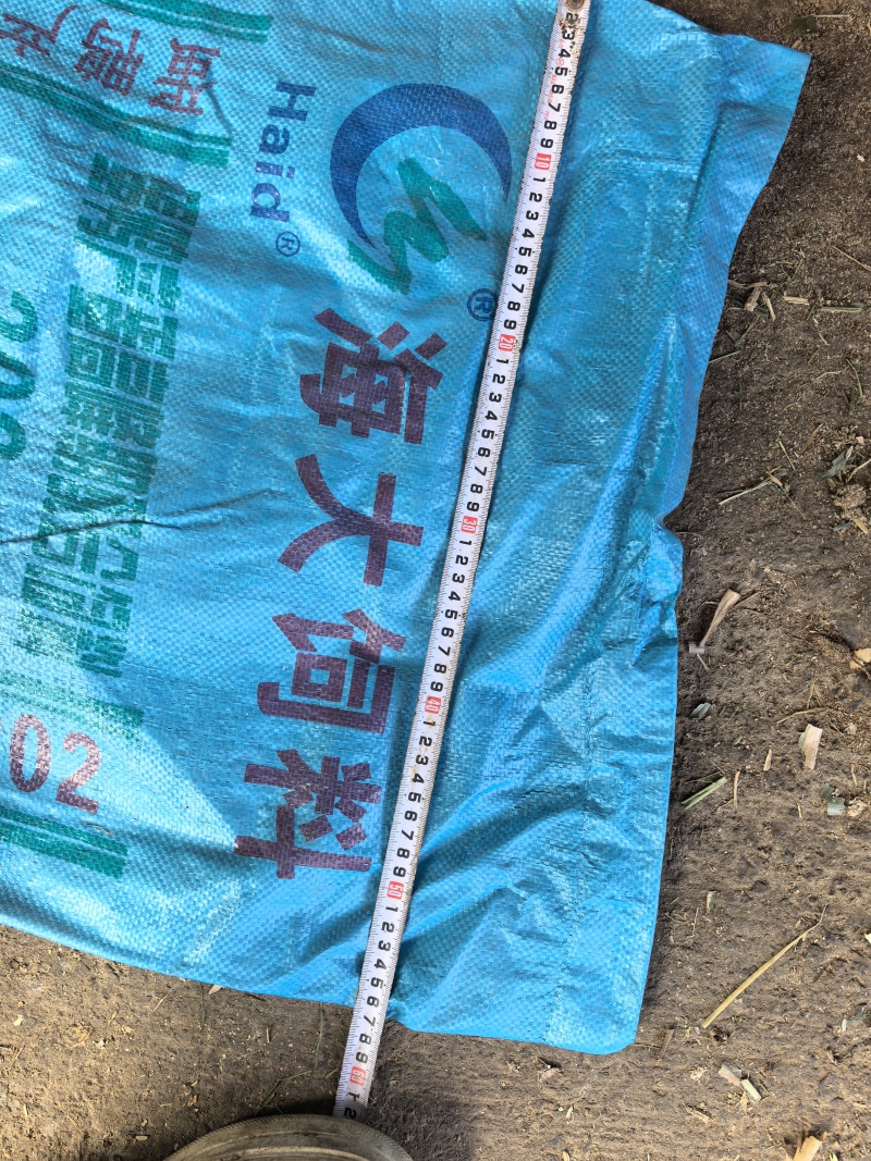 羊粪