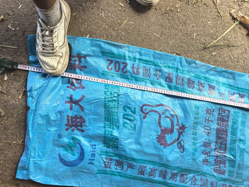 羊粪