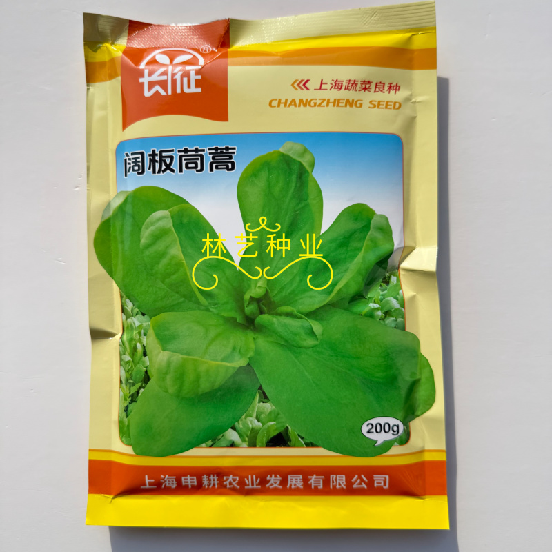 长征阔板茼蒿板叶茼蒿叶片肥厚无分枝较耐热春夏秋季节均可栽