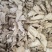 当归头片手选精品产地甘肃岷县无硫新货
