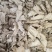 当归头片手选精品产地甘肃岷县无硫新货