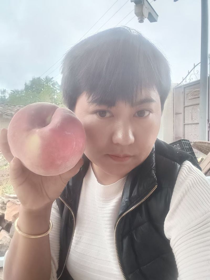 丽江雪桃