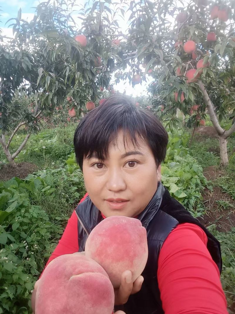 丽江雪桃