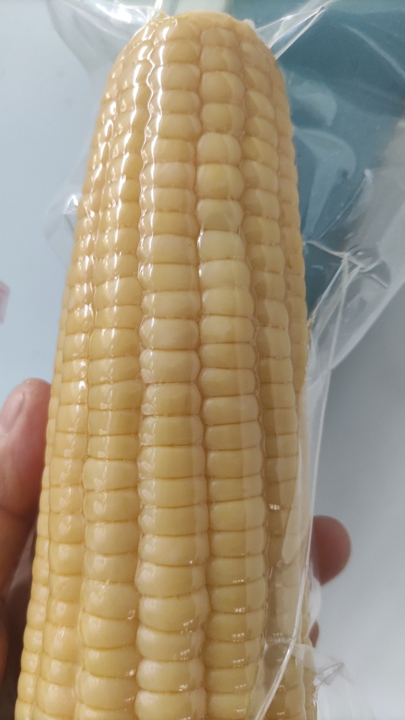 黑龙江真空糯玉米黄白花黑精品货