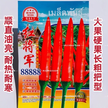 红将军88888大果朝天椒种子特辣单生中晚熟朝天椒种籽易