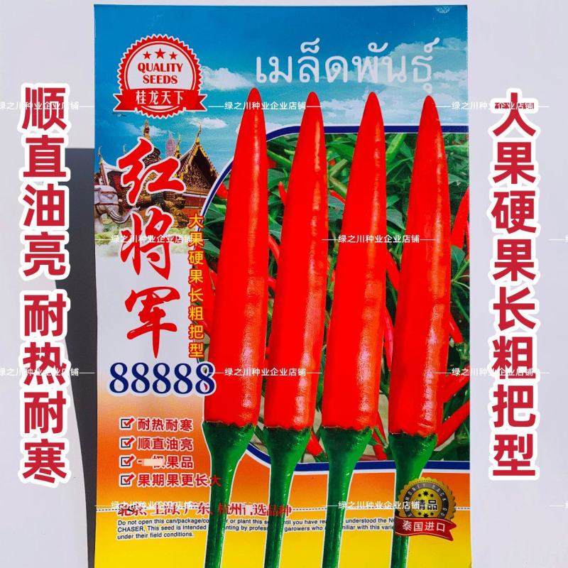 红将军88888大果朝天椒种子特辣单生中晚熟朝天椒种籽易