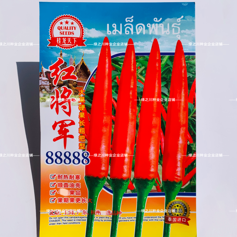 红将军88888大果朝天椒种子特辣单生中晚熟朝天椒种籽易