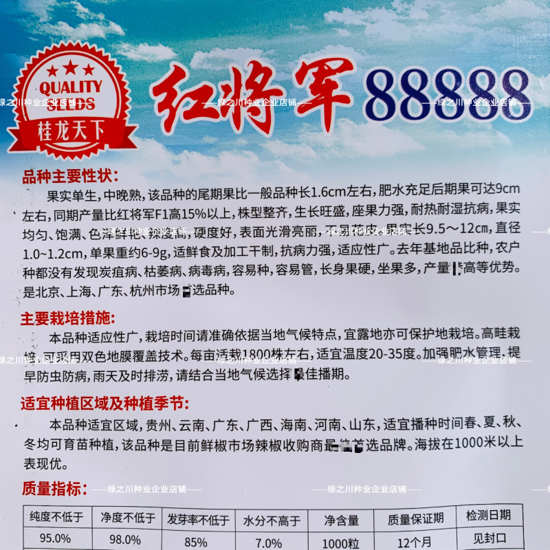 红将军88888大果朝天椒种子特辣单生中晚熟朝天椒种籽易