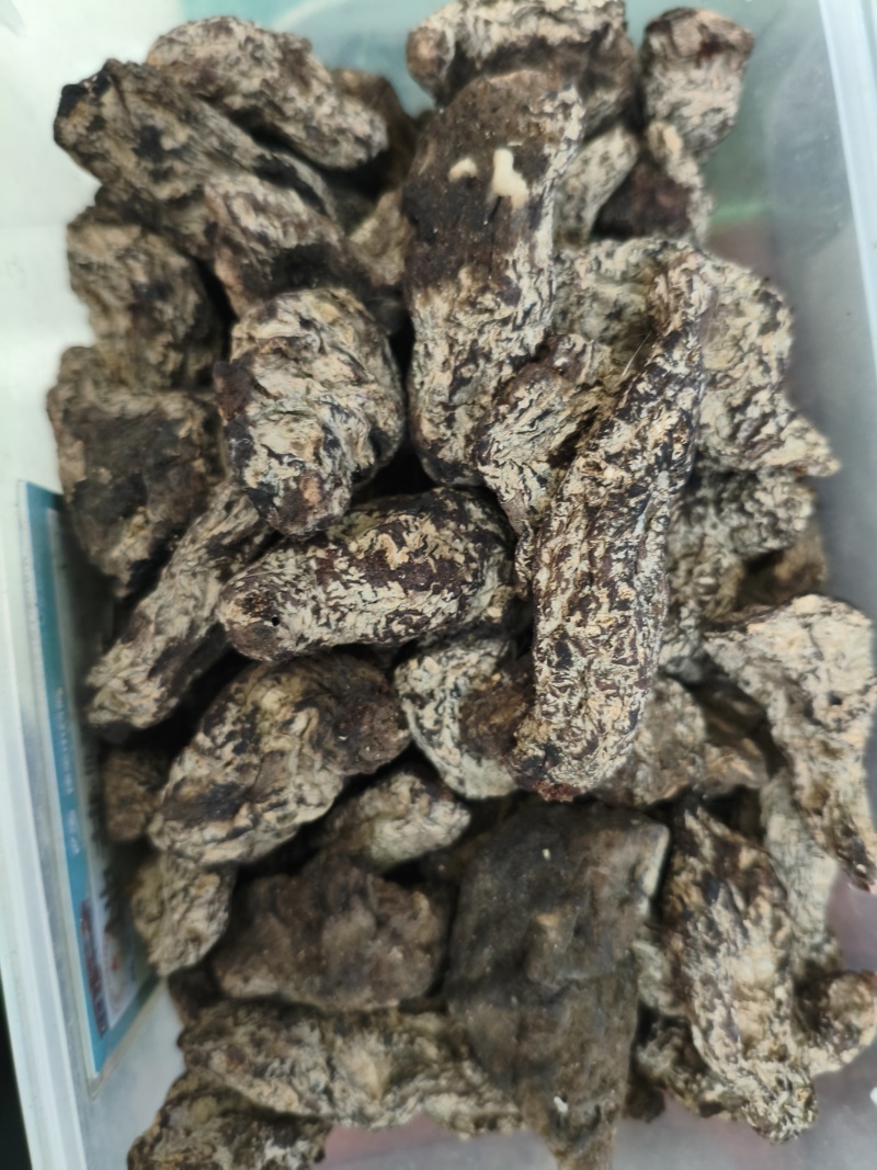 生地黄