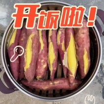 板栗红薯一件代发