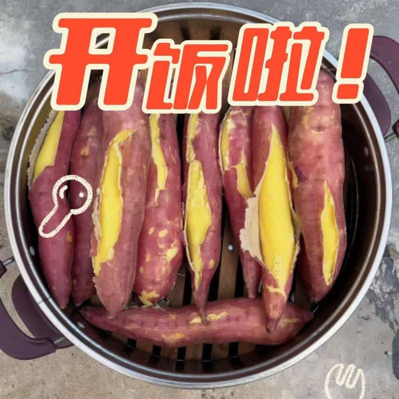 板栗红薯一件代发