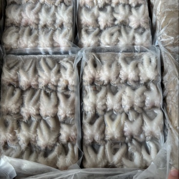 盐磨活冻八爪