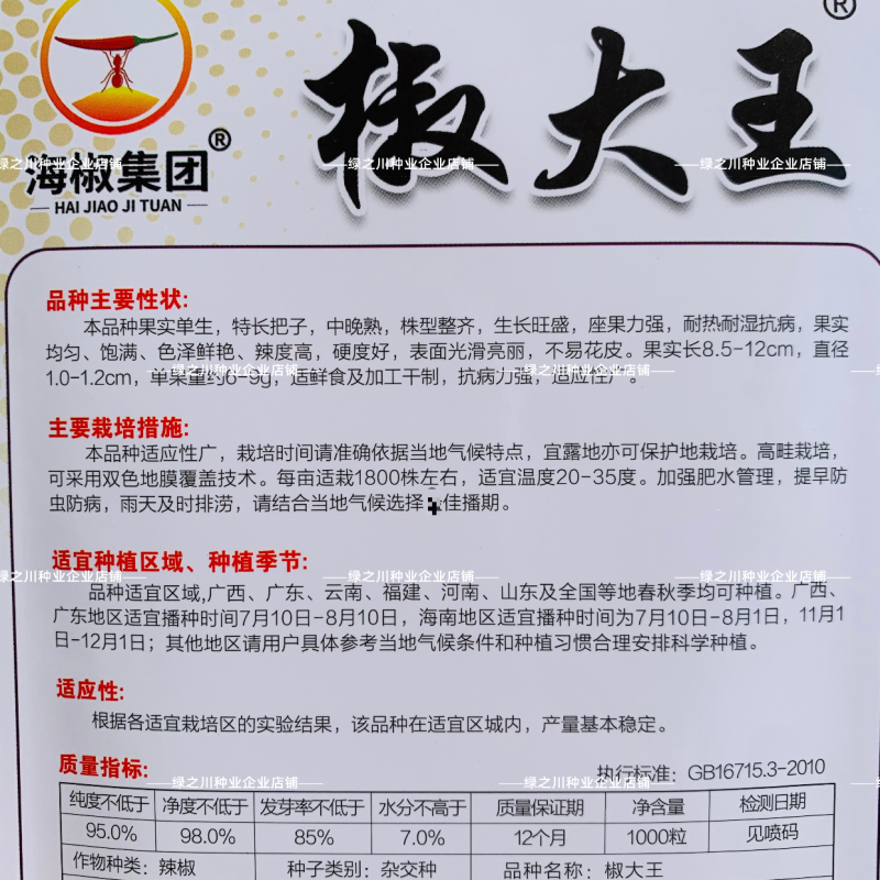 海椒大王大果朝天椒种子单生辣椒长把子朝天椒种籽中晚熟耐热