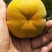 云南早熟脆甜柿子（现货，脆甜可口，基地种植，基地直发）