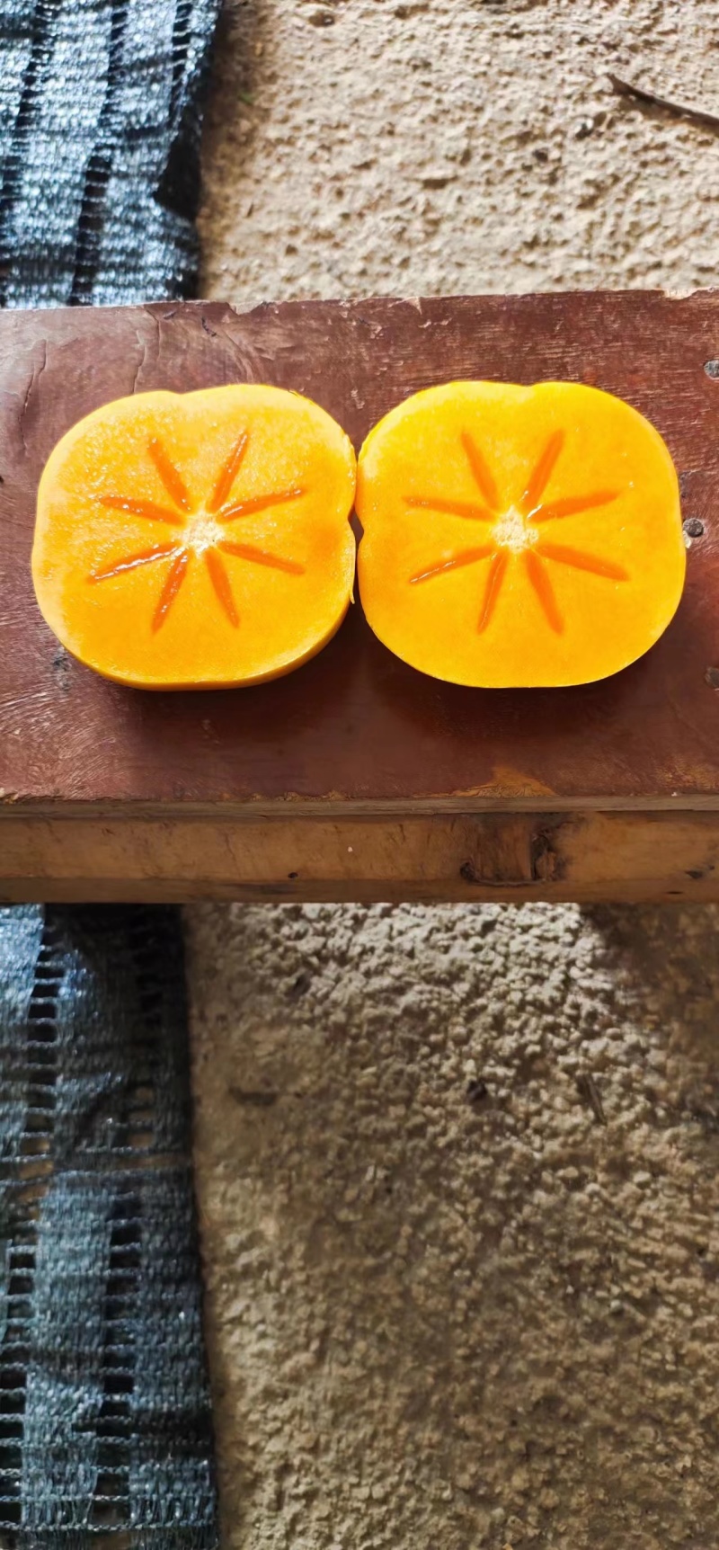 云南早熟脆甜柿子（现货，脆甜可口，基地种植，基地直发）