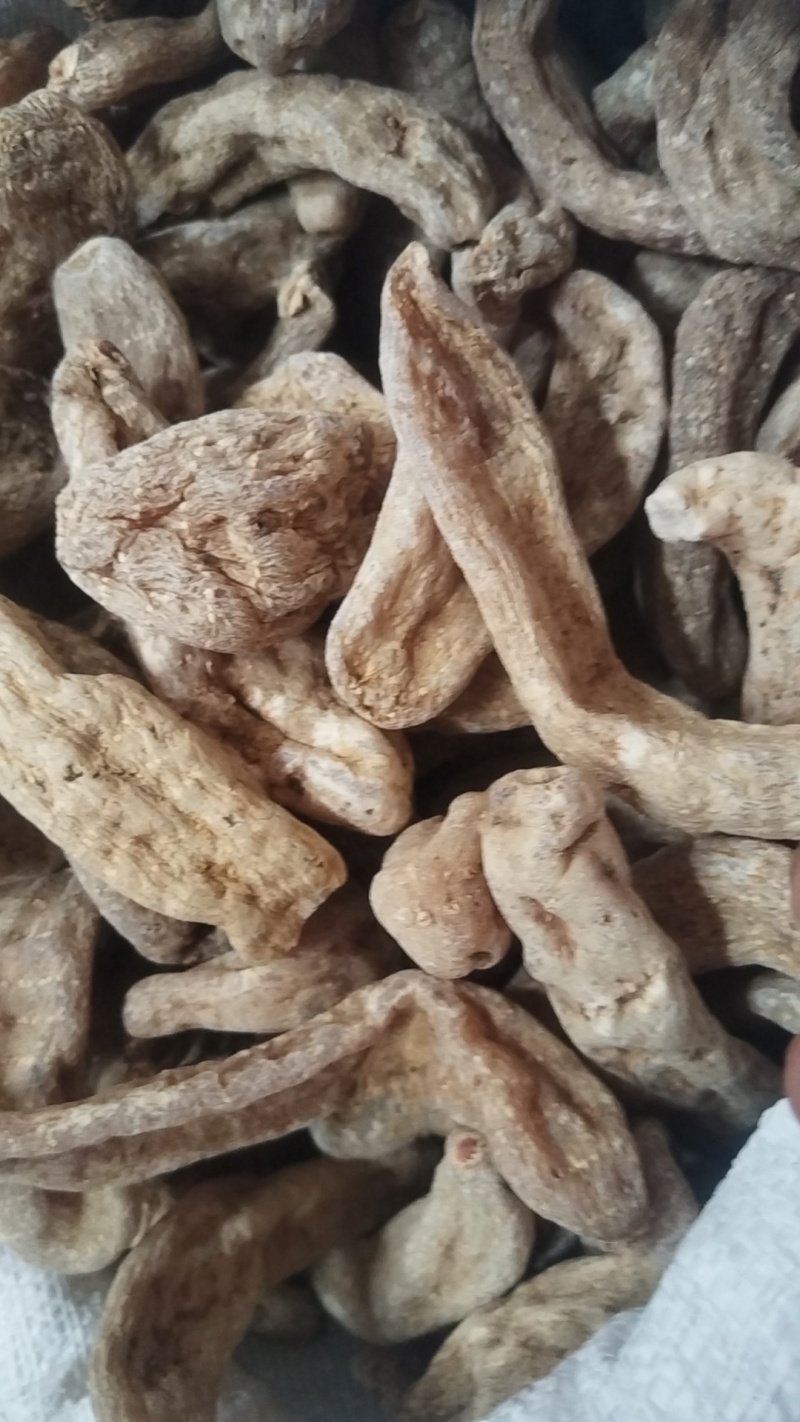 菟丝子内蒙货高含量。水洗货无杂质批发零售全国发货