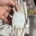 鲜活小螃蟹，团购，餐饮自助餐专用货，二两左右，肥度好