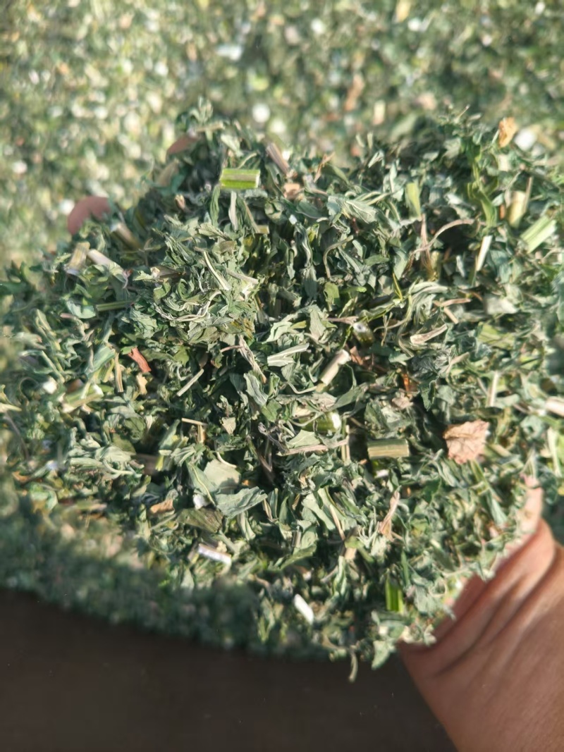 益母草，2025年新货，批发零售，量大优惠。