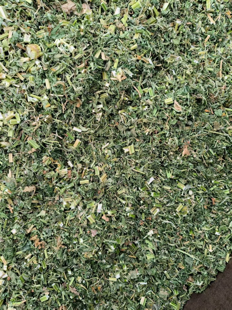 益母草，2025年新货，批发零售，量大优惠。