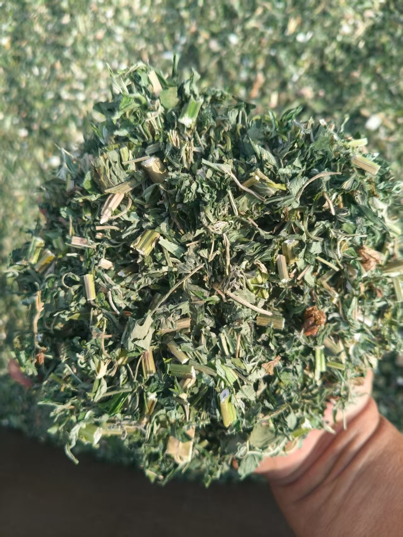 益母草，2025年新货，批发零售，量大优惠。