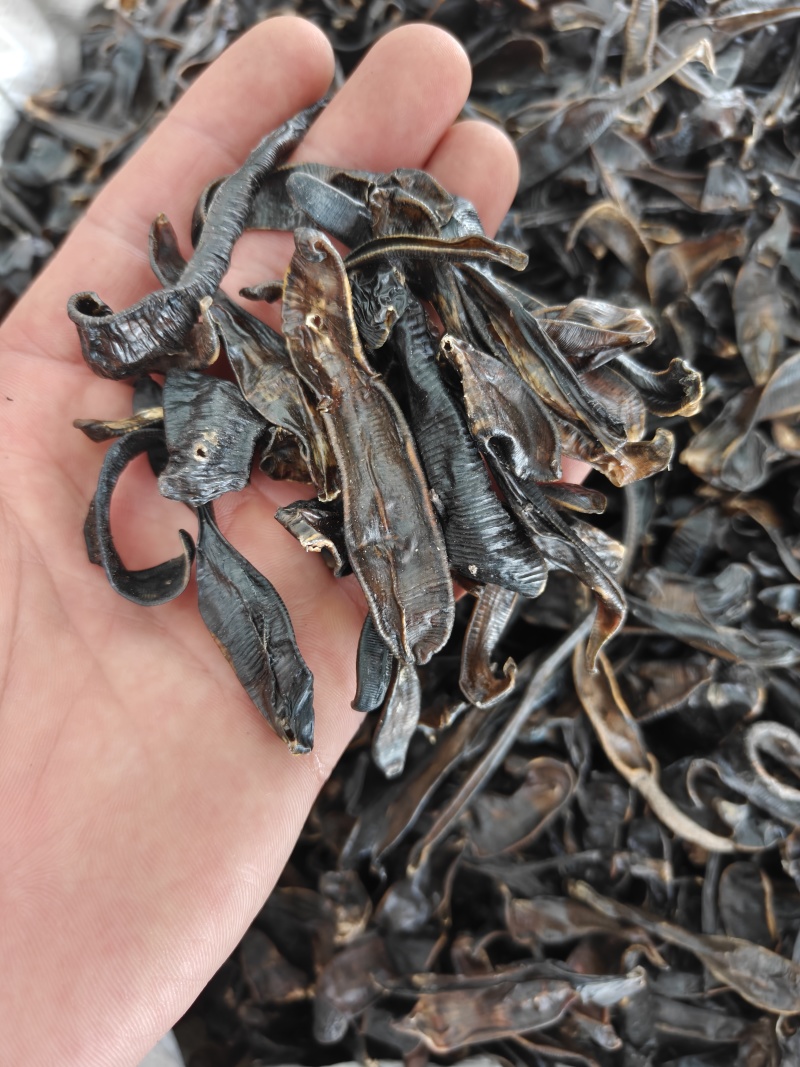 水蛭统山东清水荷花塘水蛭干品质保证