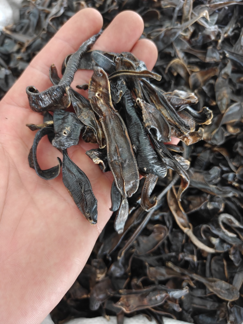 水蛭统山东清水荷花塘水蛭干品质保证