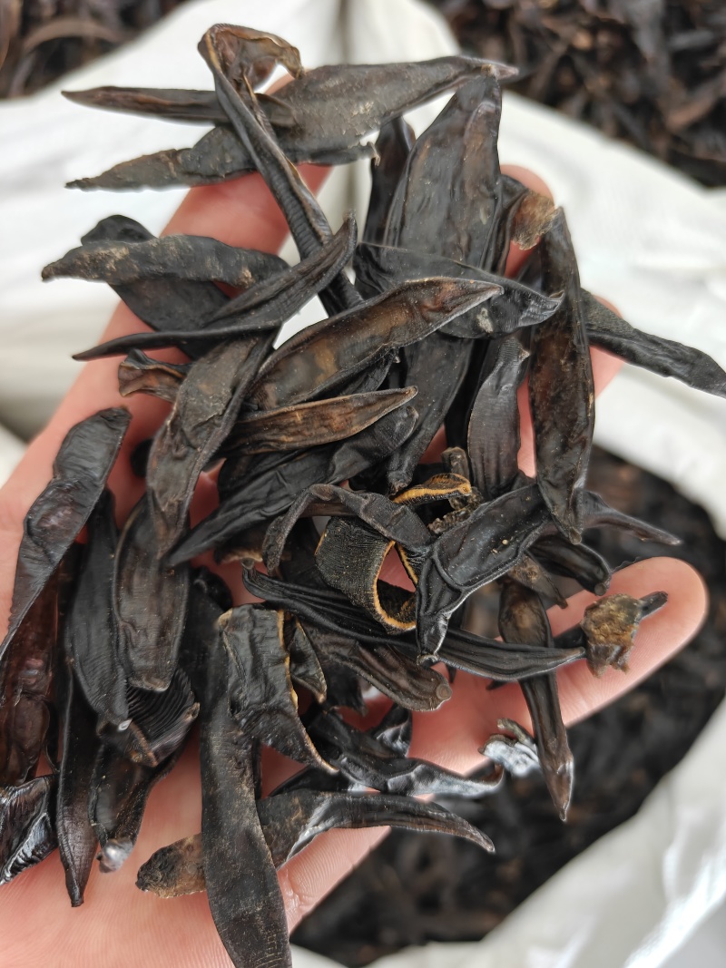 水蛭统山东清水荷花塘水蛭干品质保证