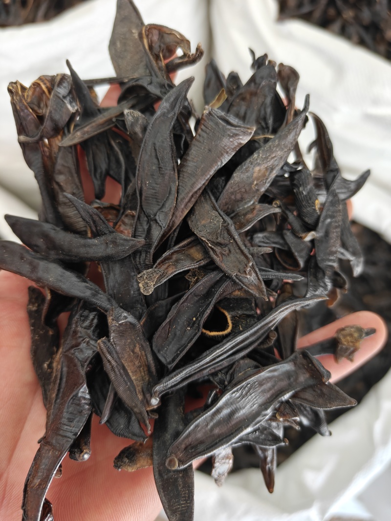 水蛭统山东清水荷花塘水蛭干品质保证