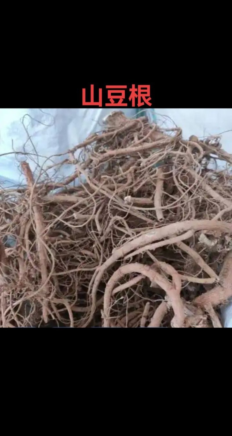 山豆根干货