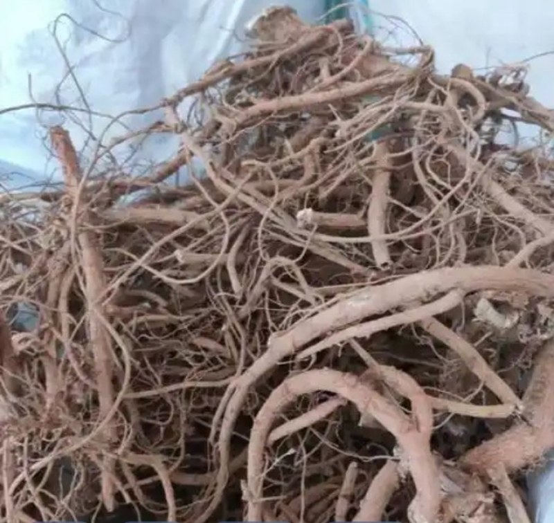 山豆根干货
