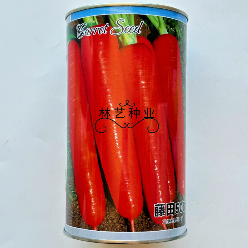藤田508三红水果胡萝卜种籽农家南北红胡萝卜蔬菜种孑