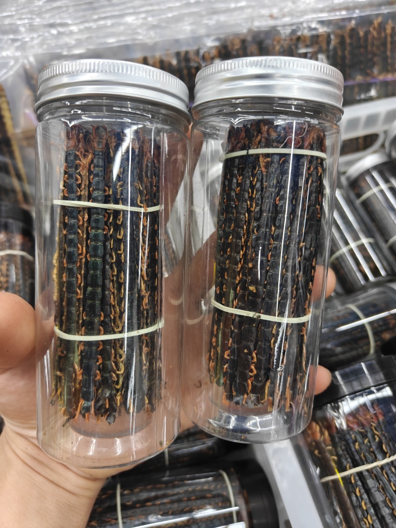 蜈蚣小条12公分蜈蚣皮关书药业批发中药材