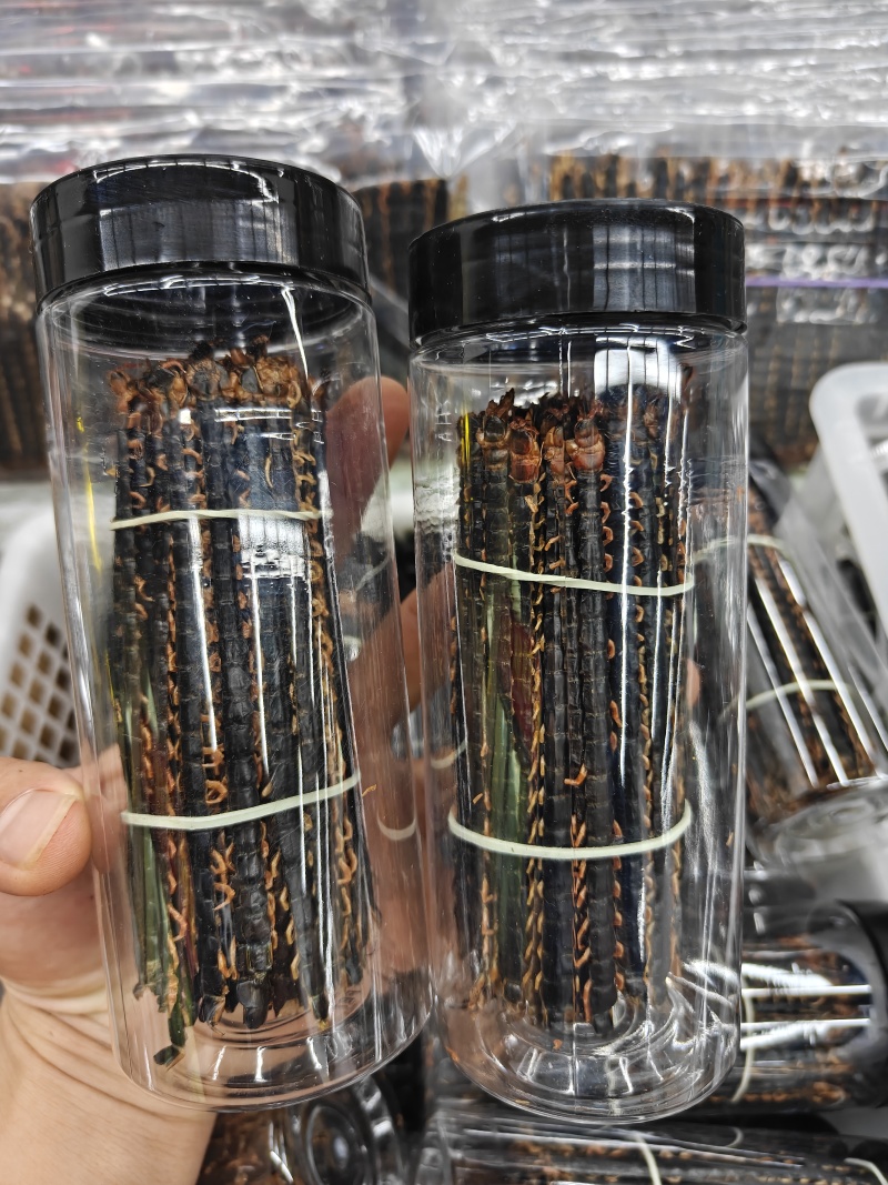 蜈蚣小条12公分蜈蚣皮关书药业批发中药材