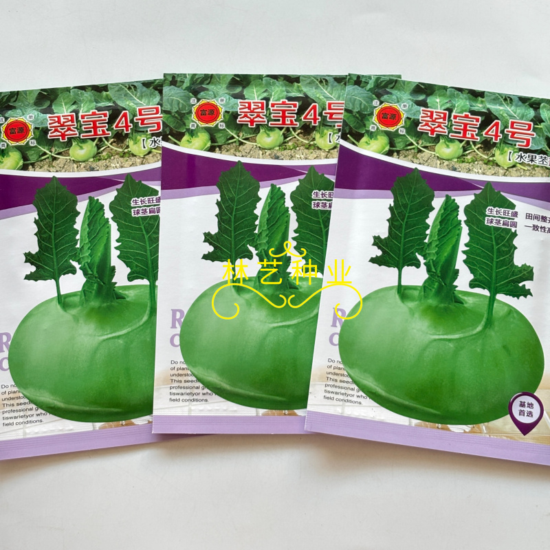翠宝4号苤蓝种子春秋两季栽培脆甜无纤维球形扁圆苤兰种