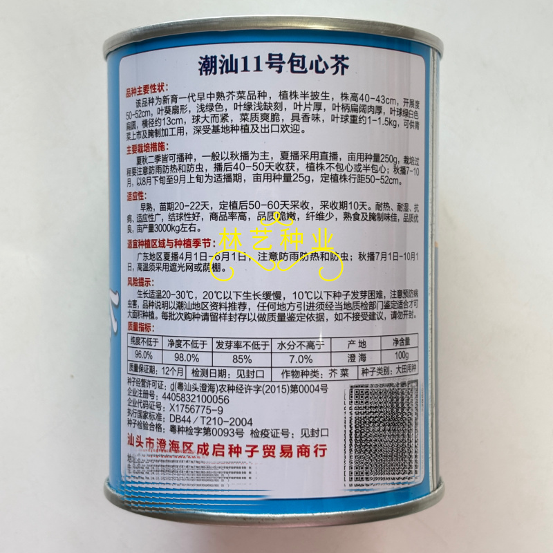 潮汕11号包心芥菜种子清香脆嫩大棵高产抗病商品性佳