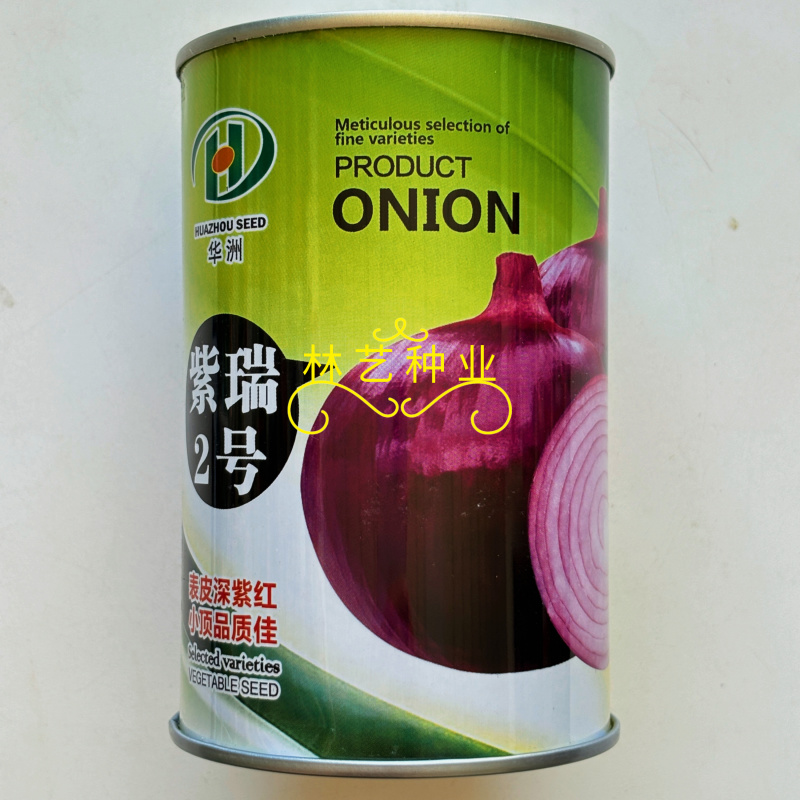 紫瑞2号洋葱种子中日照紫红皮洋葱中早熟高产抗病秋播