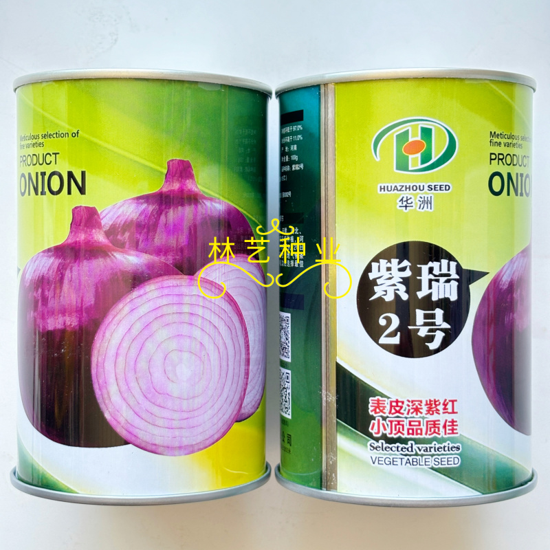 紫瑞2号洋葱种子中日照紫红皮洋葱中早熟高产抗病秋播