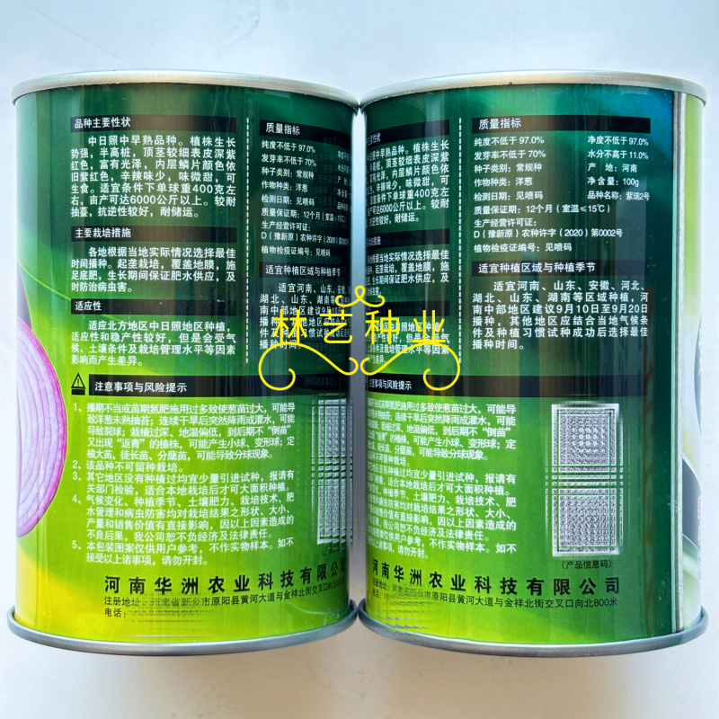 紫瑞2号洋葱种子中日照紫红皮洋葱中早熟高产抗病秋播
