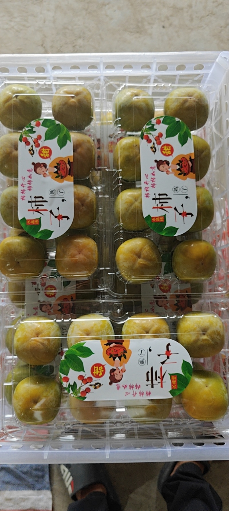 七月黄柿子礼盒装