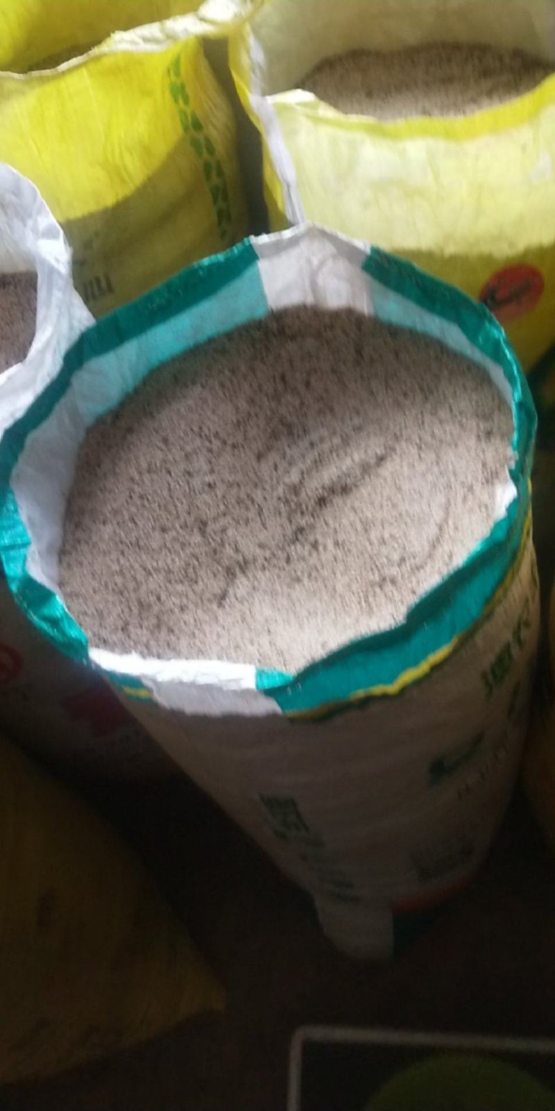 新鲜白芝麻