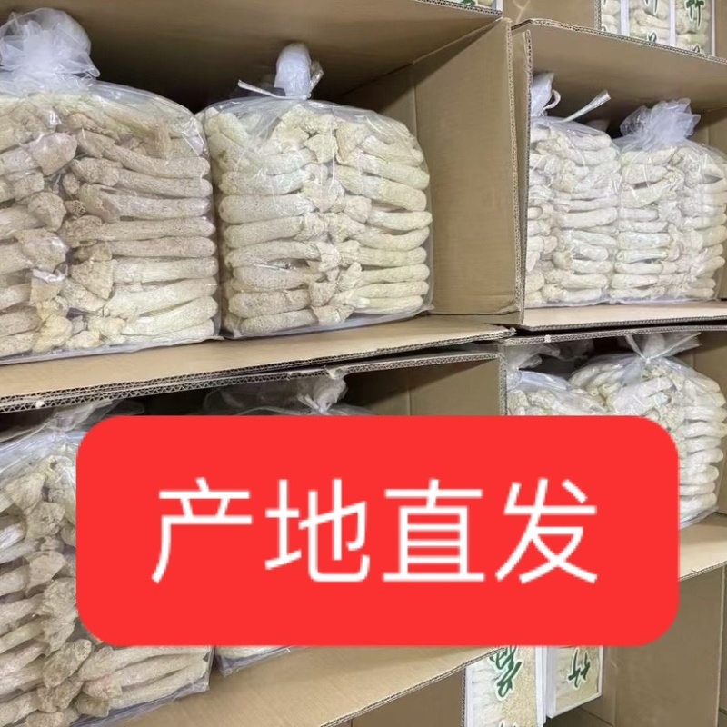 竹荪